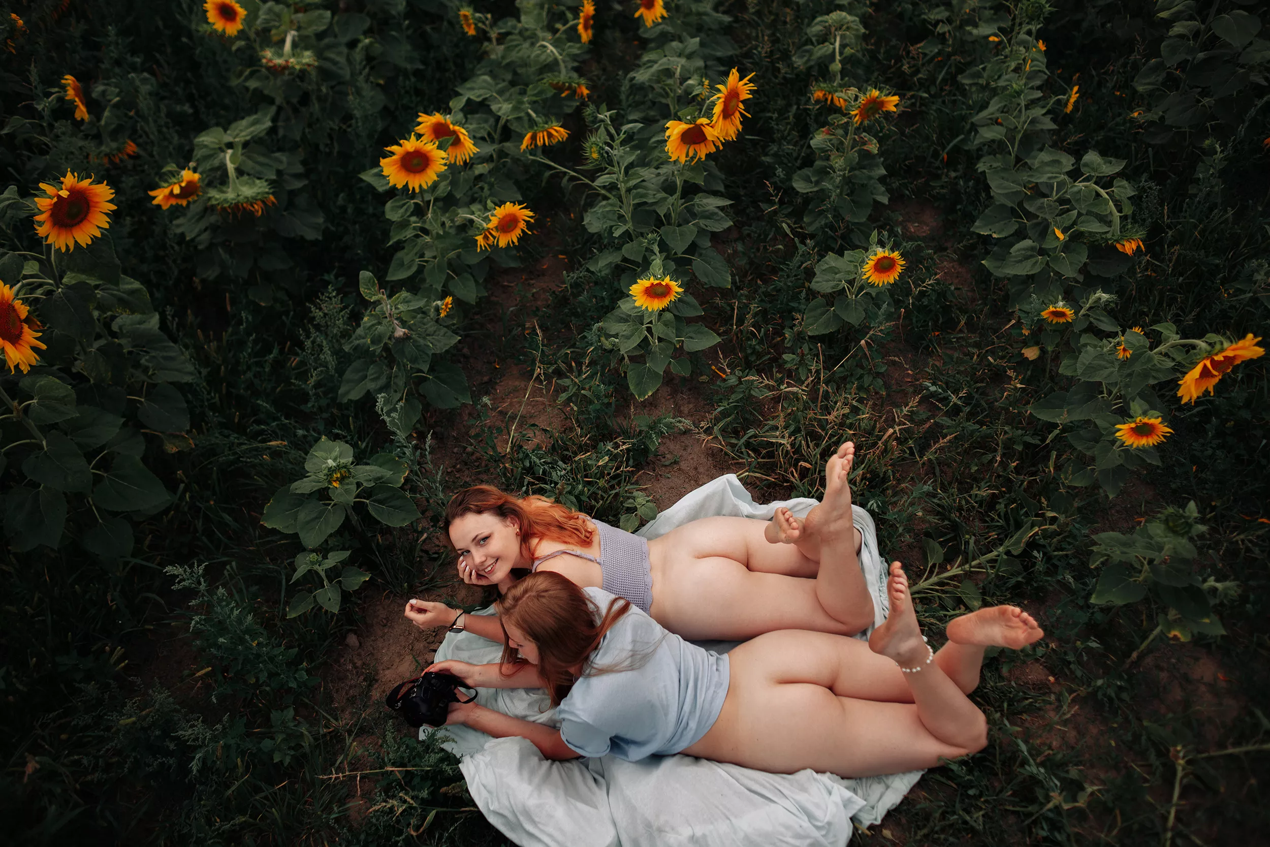 Sunflowers (irtr) posted by trashableaccount1