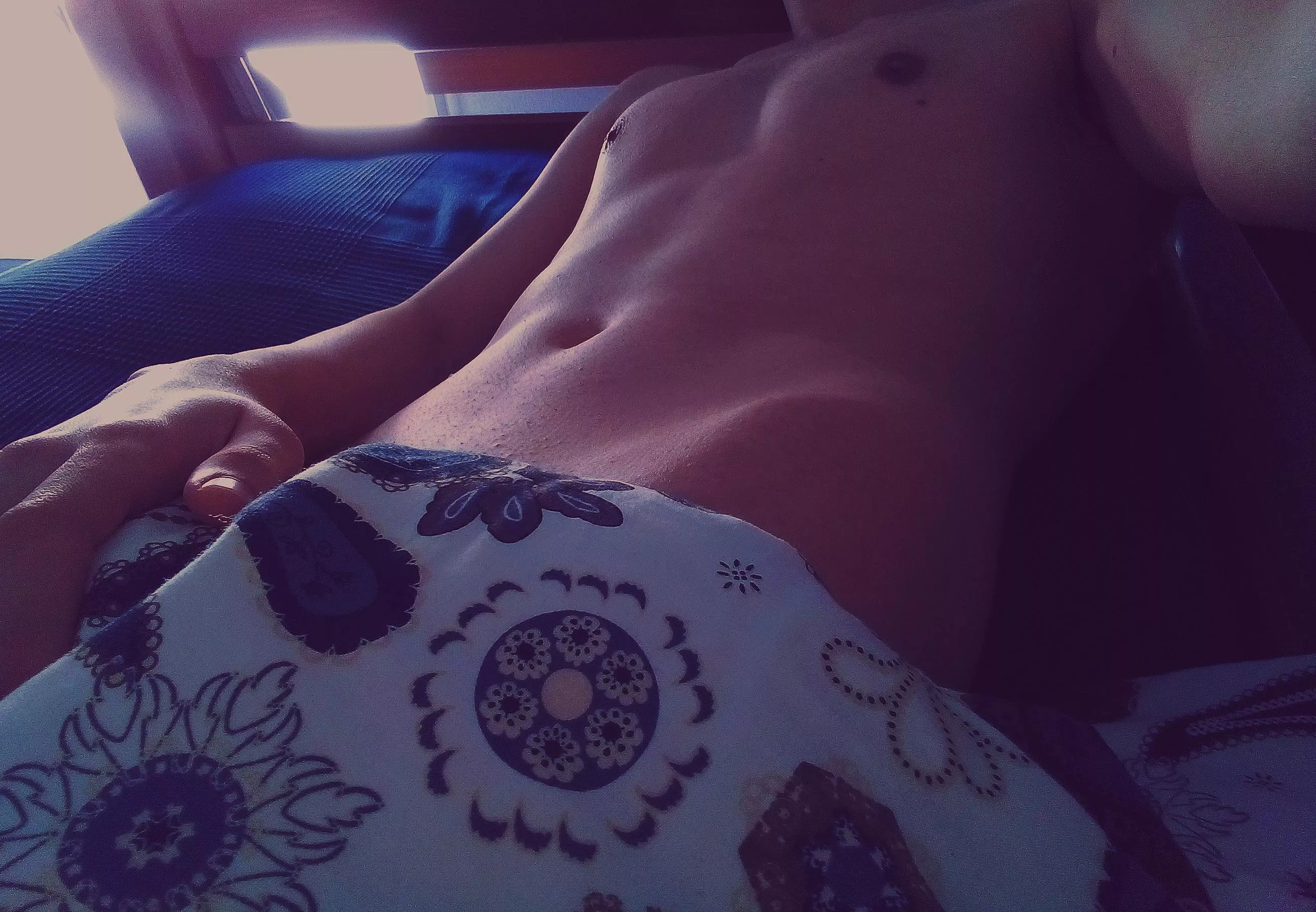 Sunny but cold morning, come, let's spend the day in bed! posted by metanoia-kiwa