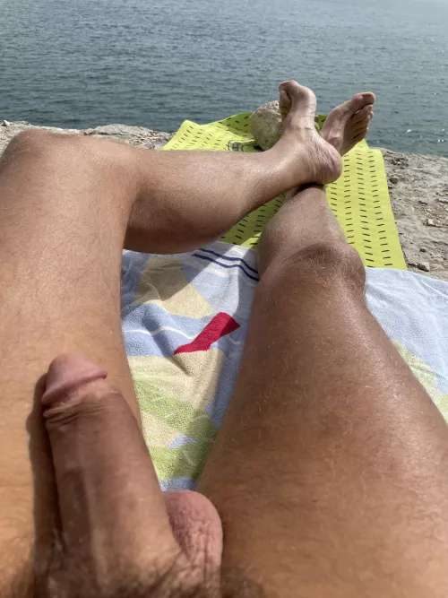 Sunny day means sunbathing by kalel067