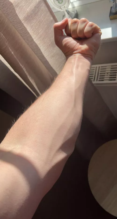 sunny day by blondboyjan