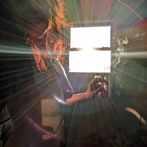 Sunny Monday coming at you! Have the best day (f)ellow ents! by DaddysCuriousKitty