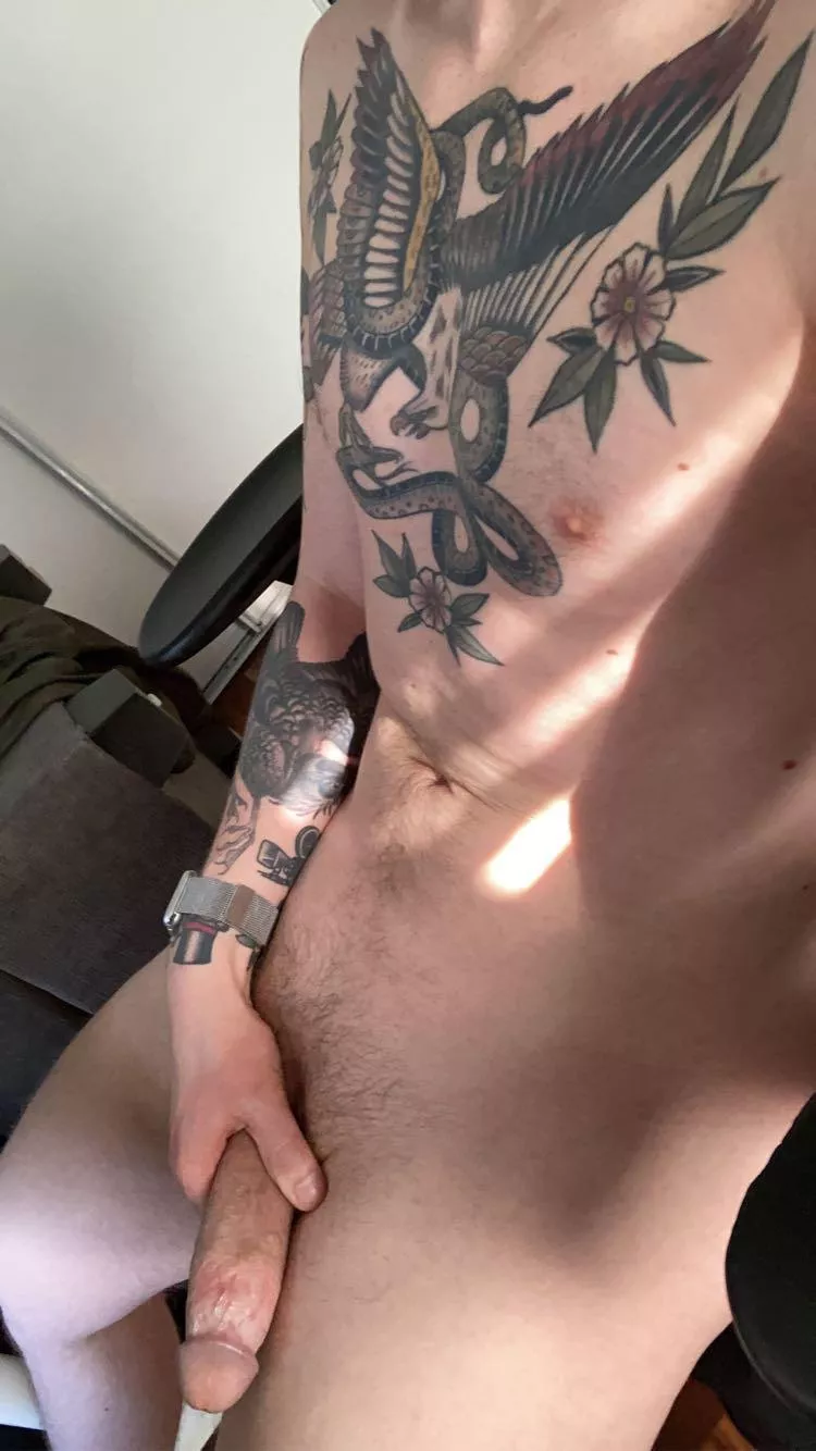 Sunny morning posted by xgwild85