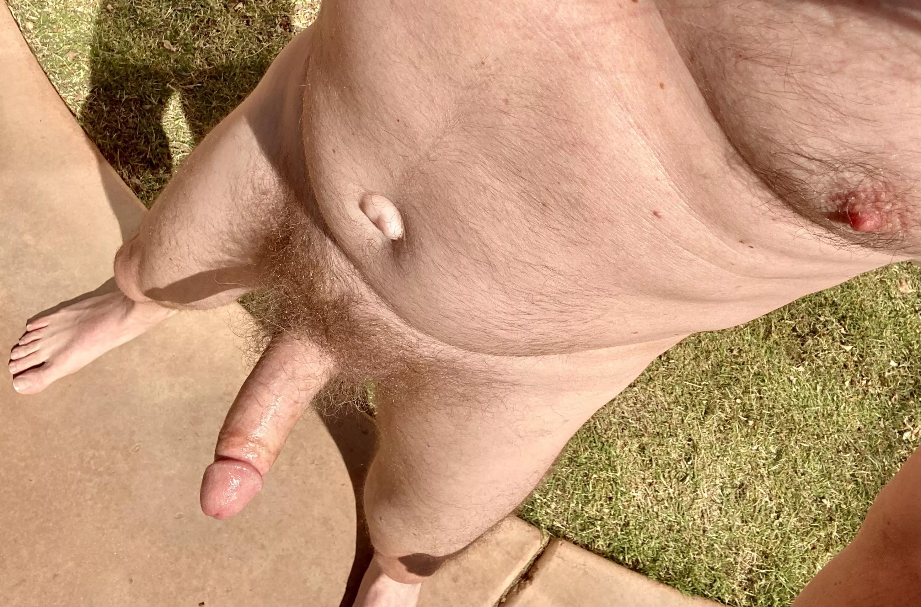 sunshine posted by dashboardpreferences