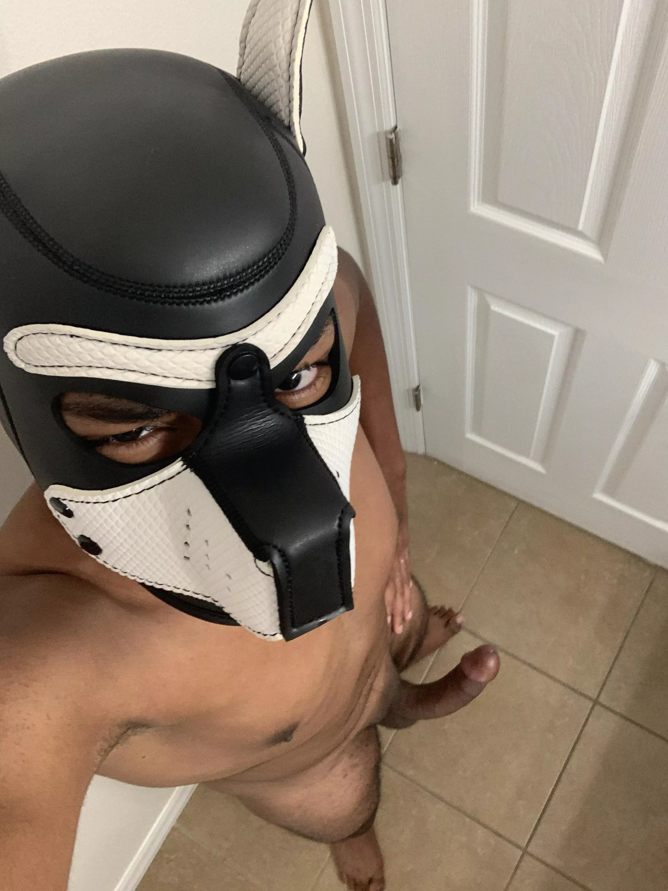 Sup y’all! Hope u don’t mind a new face around here! posted by Furphile