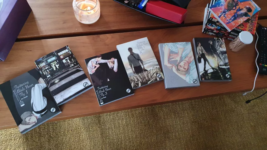 Super excited about my purchase but I have to celebrate in the shadows 🥲 by Dile_m