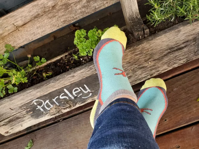 Super sweaty socks after watering my plants! by only_feetpc2022
