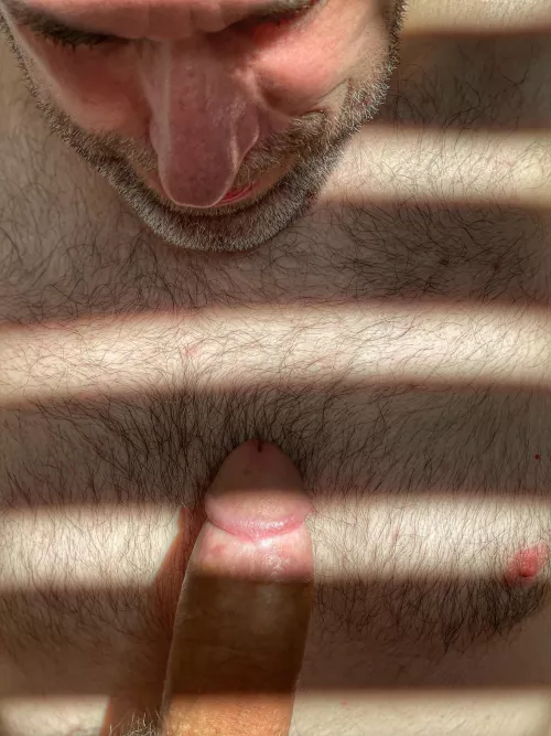 Surprise, surprise [52] by WorldlinessPrudent20