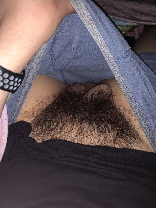 Sweet dreams 😽 by Equinoxoul