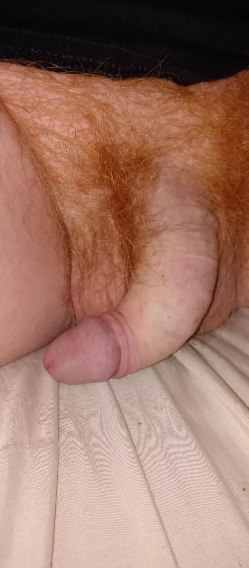 Swervy by One-Seaworthiness251