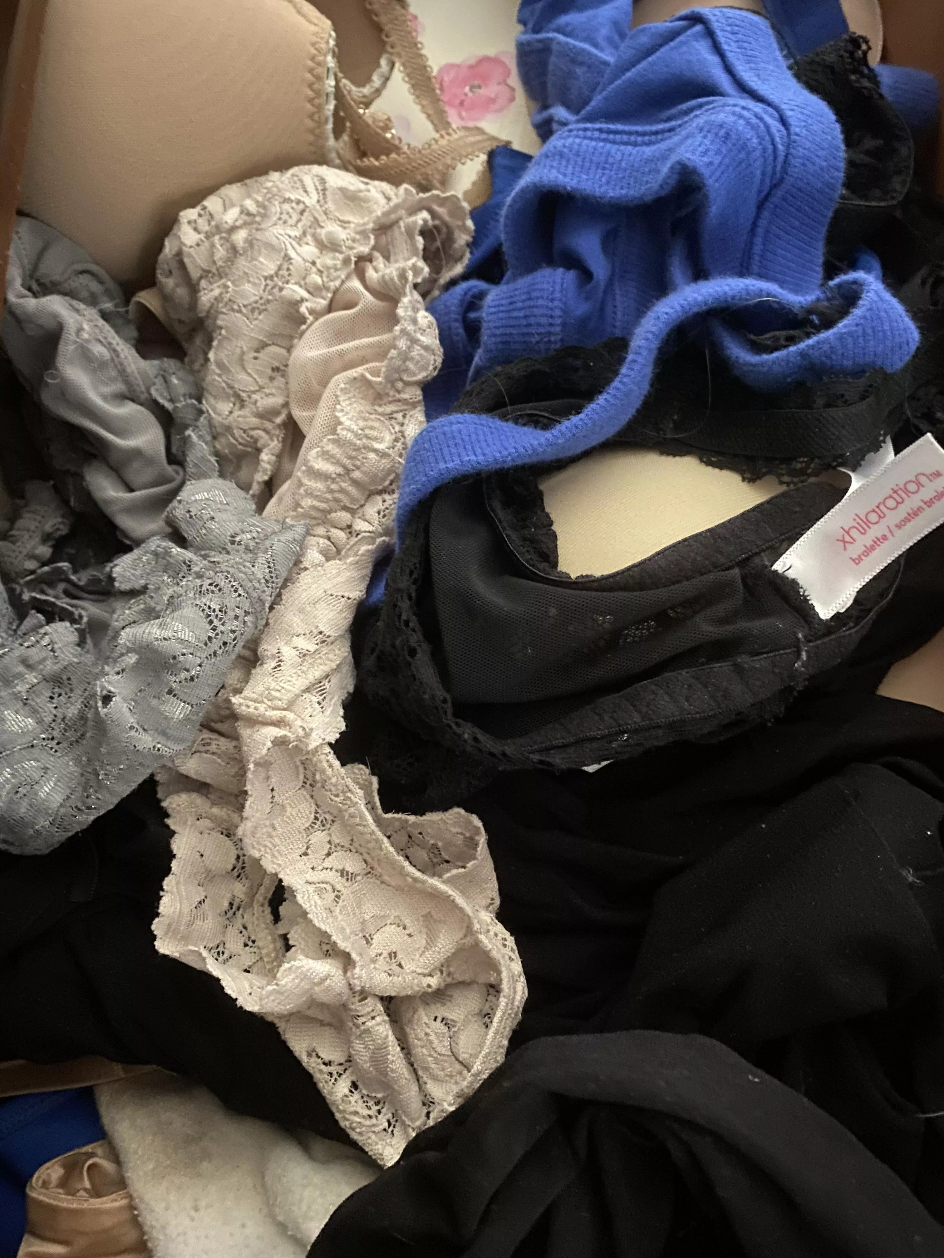 Swim Team Exchange Student PANTY Drawer. Good Swap!! posted by SwimTeamHappy