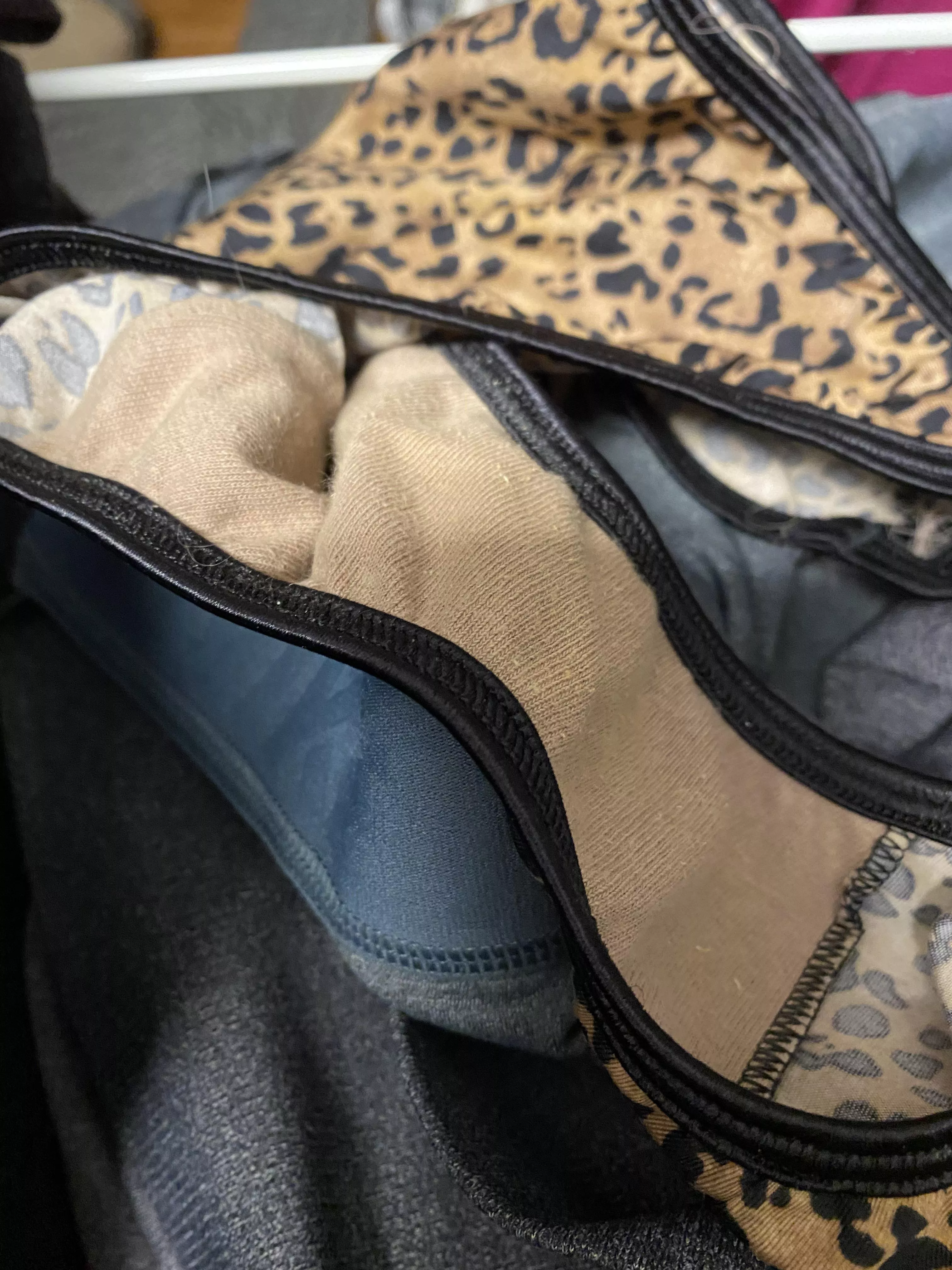 Swim Team Gusset From Yesterday’s Post. Clean looking. Earthy smelling. posted by SwimTeamHappy