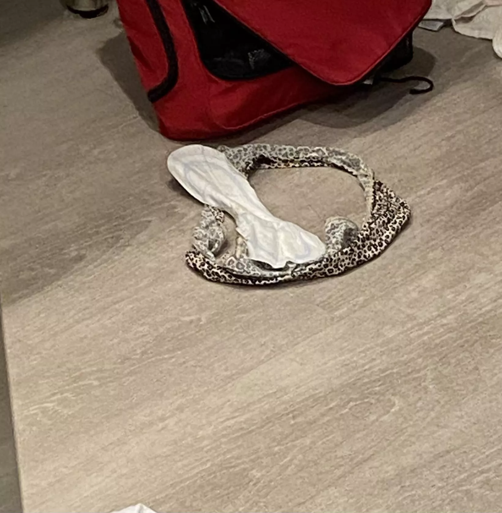 Swim Team Picks Up Her Slobbish Habits Naturally. This is a Very Normal Panty/Pad Scene For Swim and The Other Panty Wearer in the House. posted by SwimTeamHappy