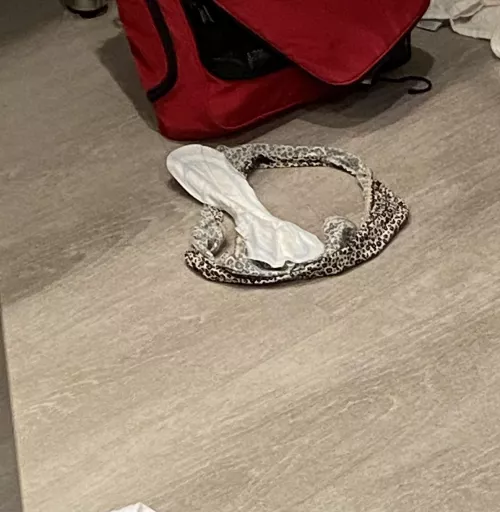 Swim Team+Leopard Skin Panties+Used Panty Liner=Happy Reddit? by SwimTeamHappy