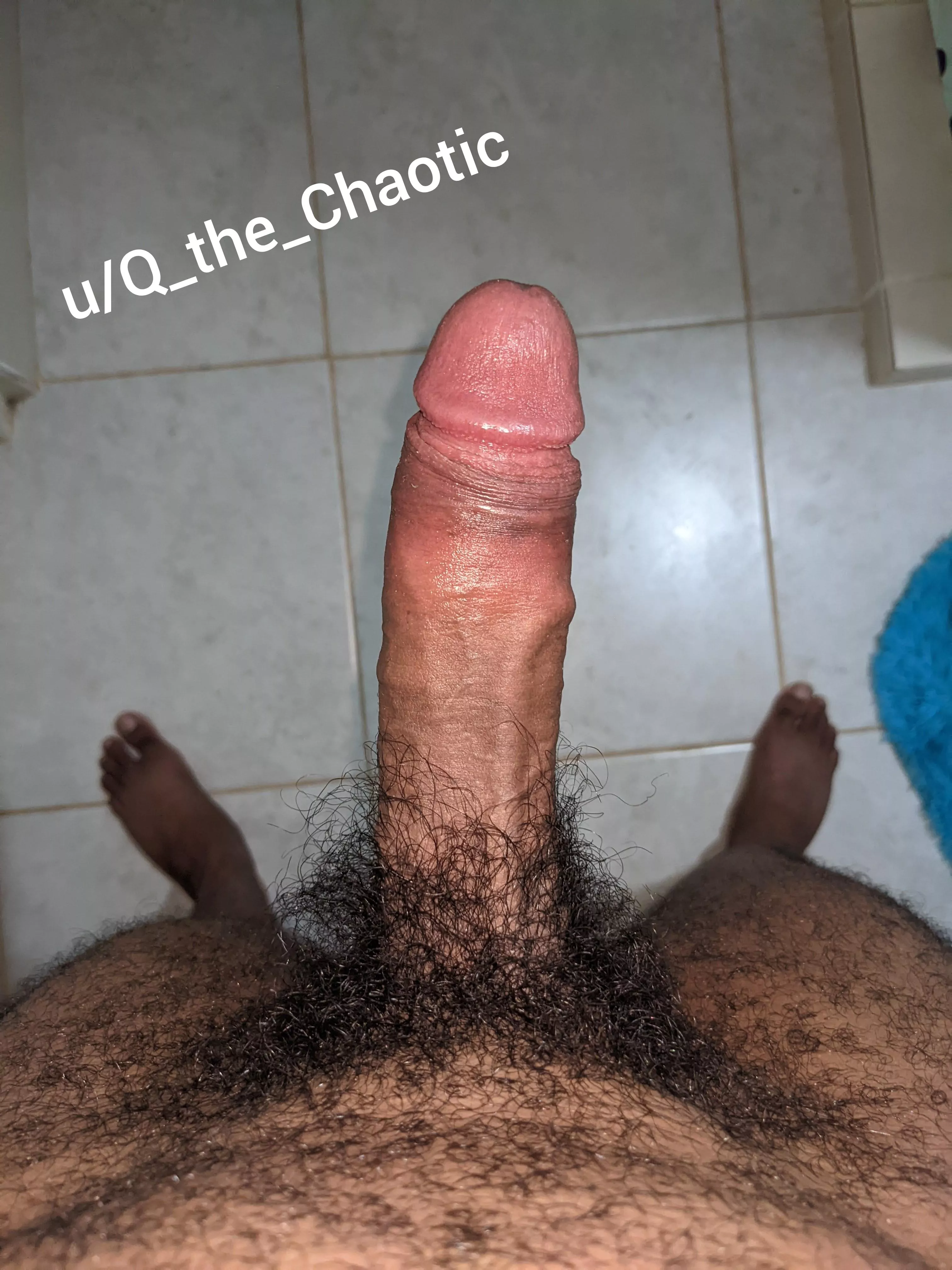 Take a glance at a alpha pov posted by Q_the_Chaotic