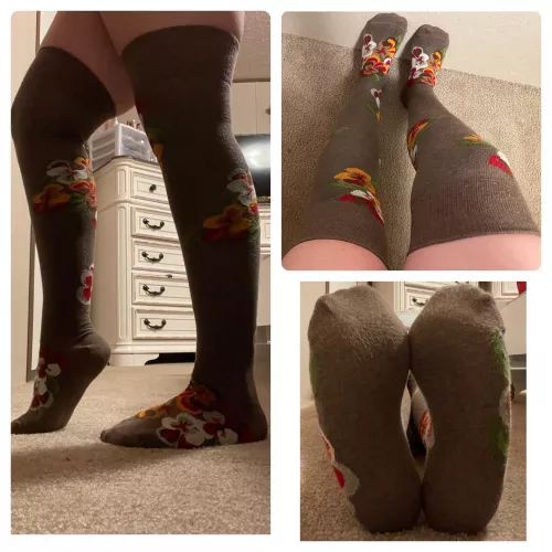 Take a whiff of these!😍 Been wearing for a few hours and I want to keep wearing them for you! [selling] by Ashbbaby