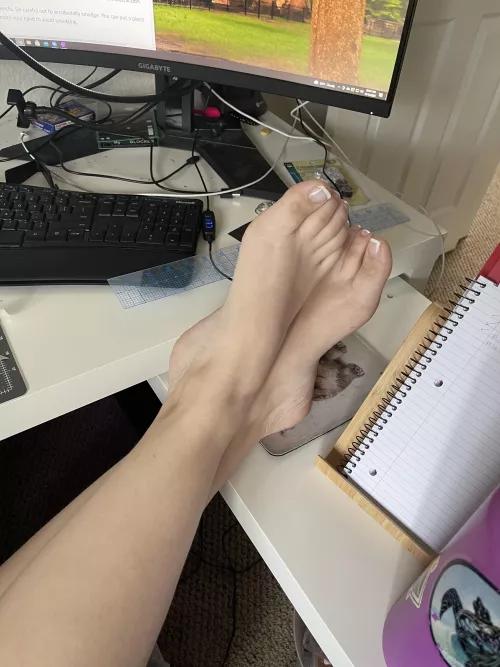 Taking a quick break during school to stretch out these puppies. by ChillSackwell