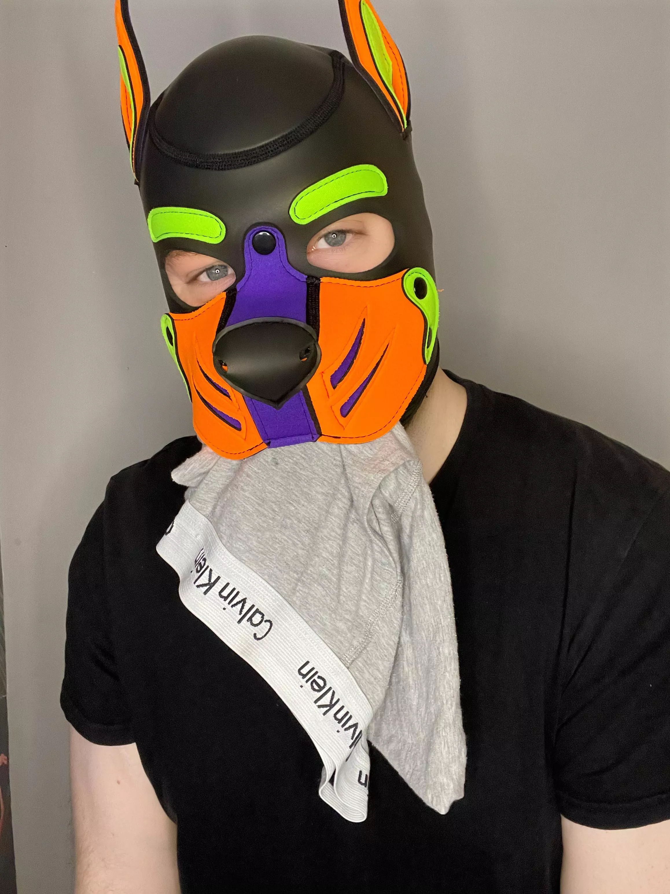 Tasty tasty - would you like them? posted by Pupspencer