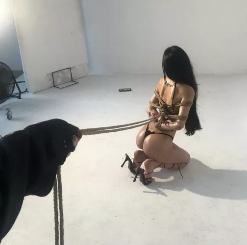 teaching the model some obedience by hlw04