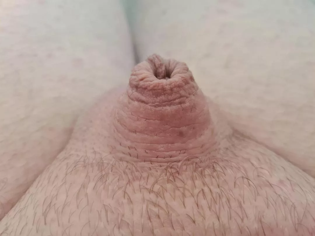 Tell me how tiny I am. posted by MarriedSubSissy