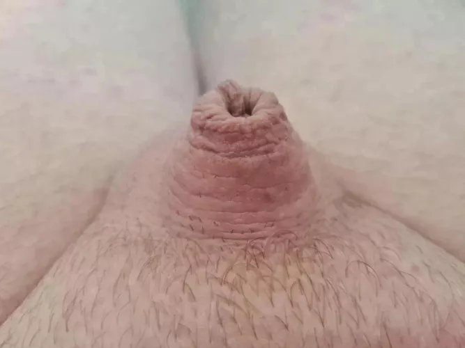 Tell me what you all think. by MarriedSubSissy