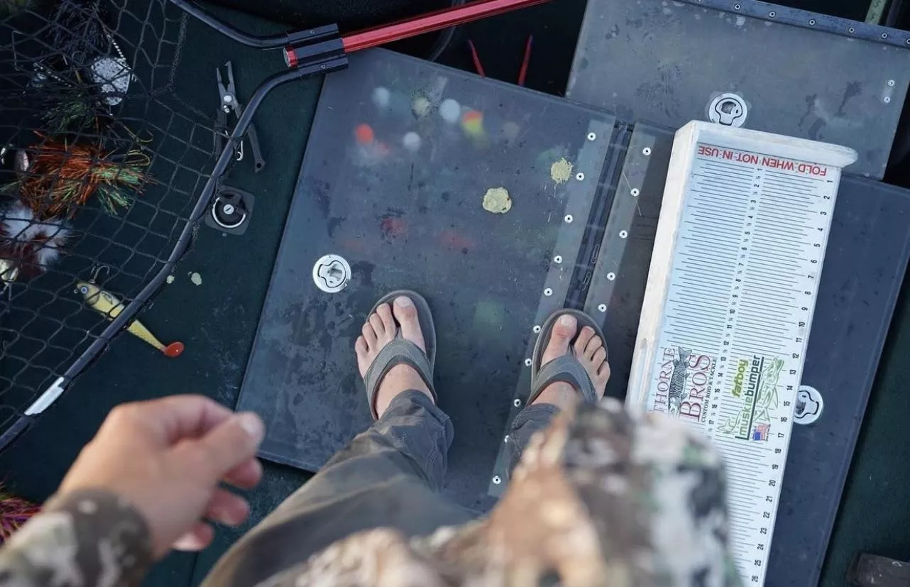 Tent camping and fishing for a month, want to give them a taste? posted by smithsongball