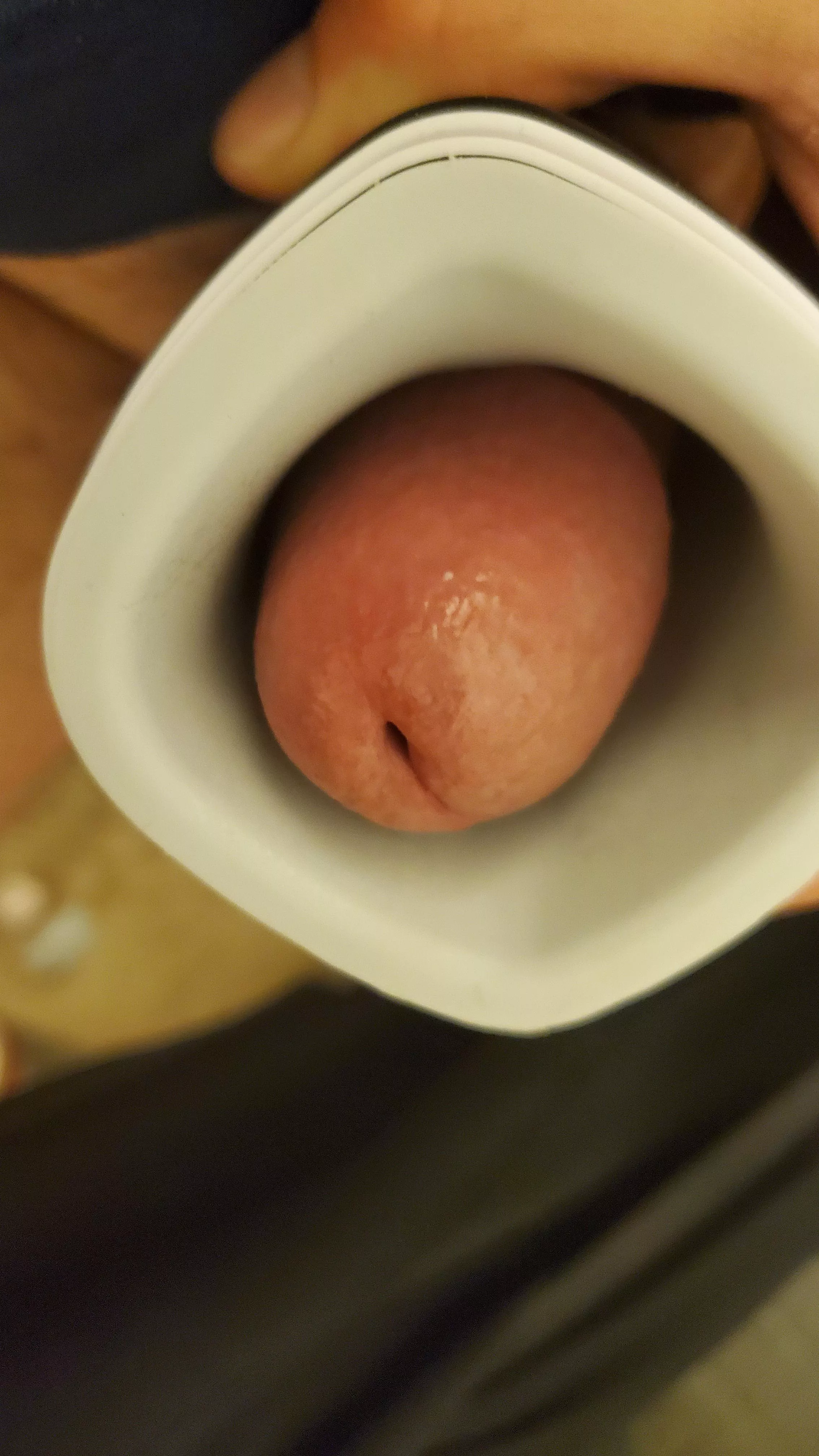 testing my new toy 😁 posted by greatscotpet