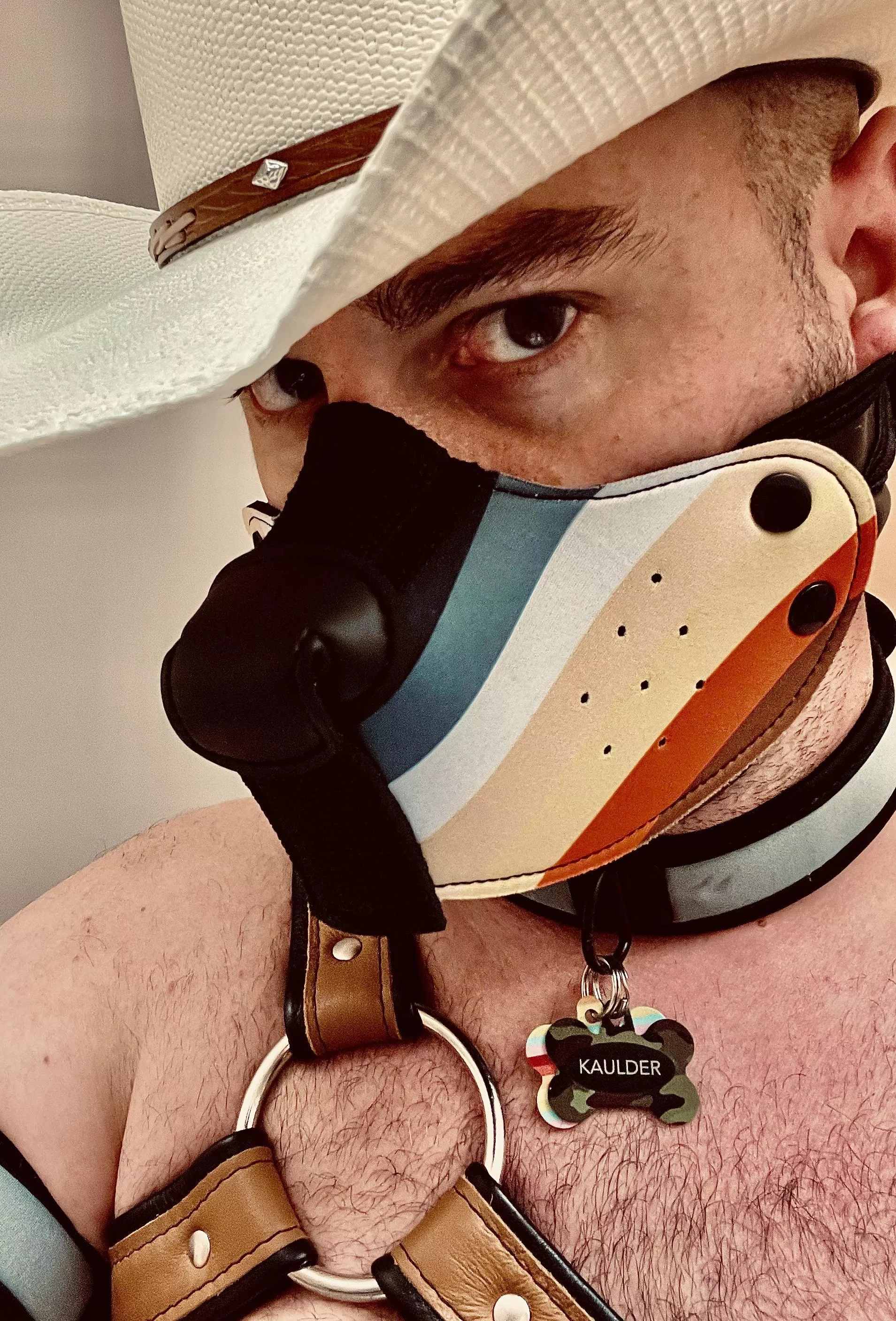 Texas cowdog posted by Typical-Bumblebee-79