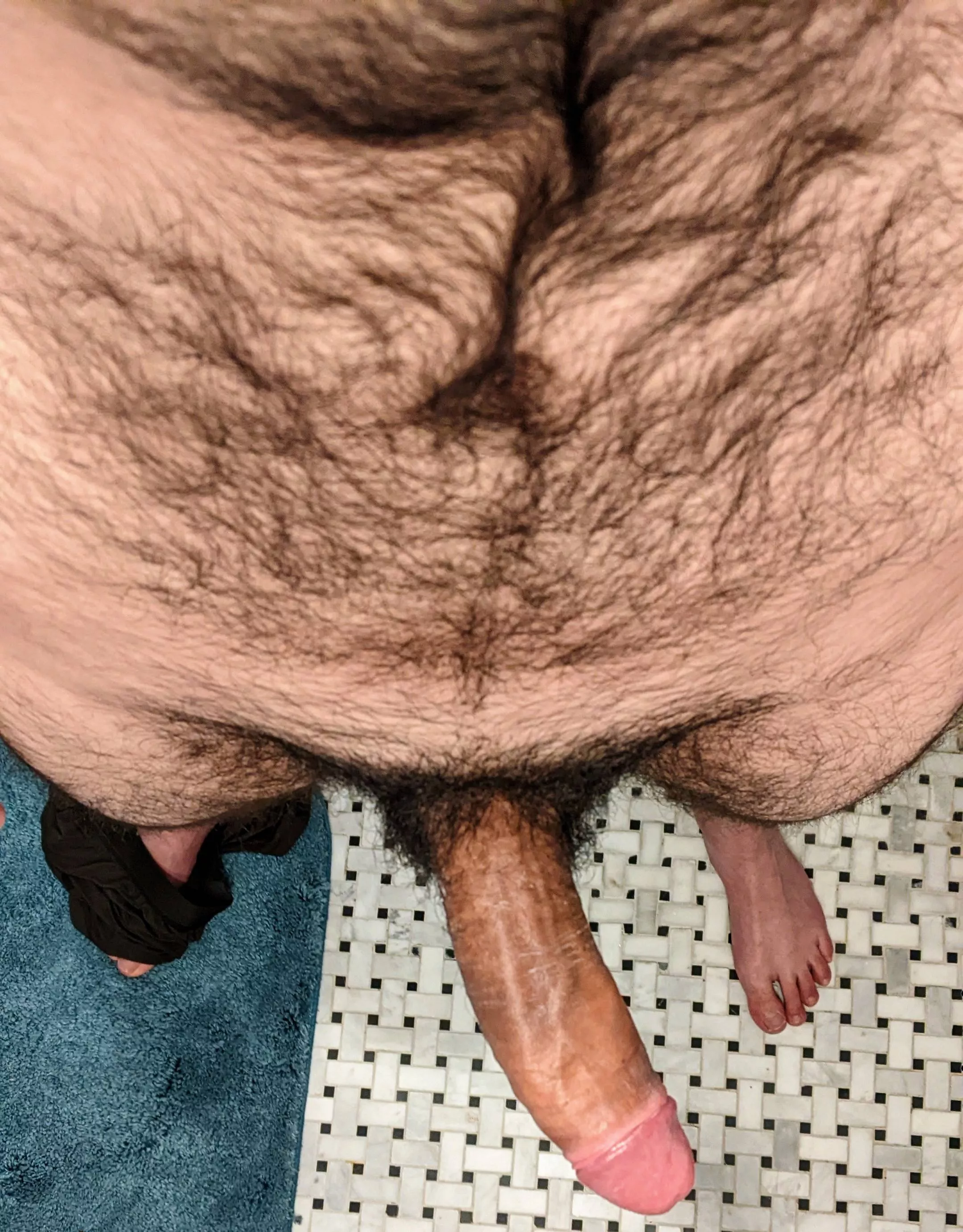 tgif 😊 posted by bodega_cats