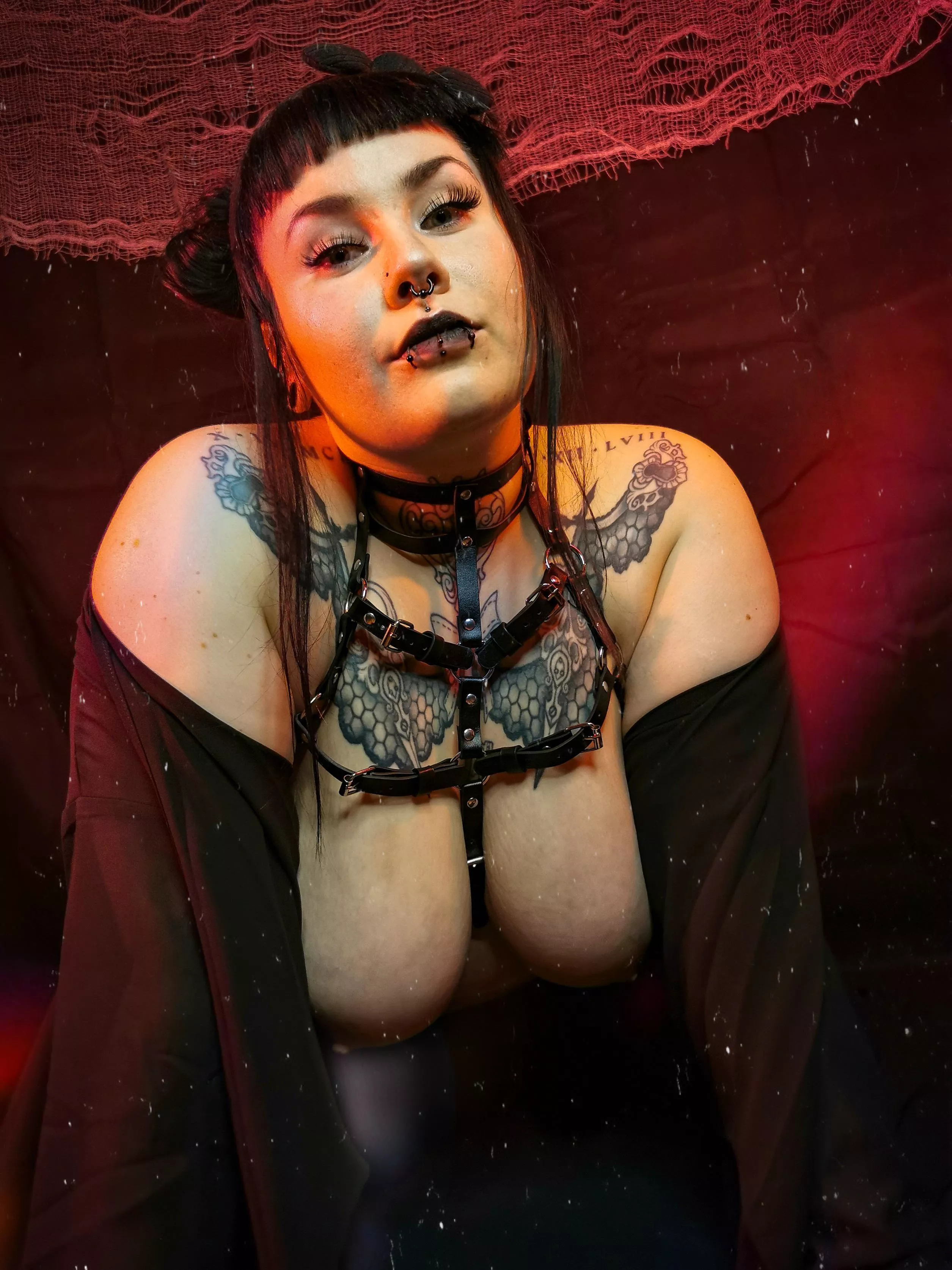 TGIF! Any plans for the weekend? 😛 posted by Prinzessindachi