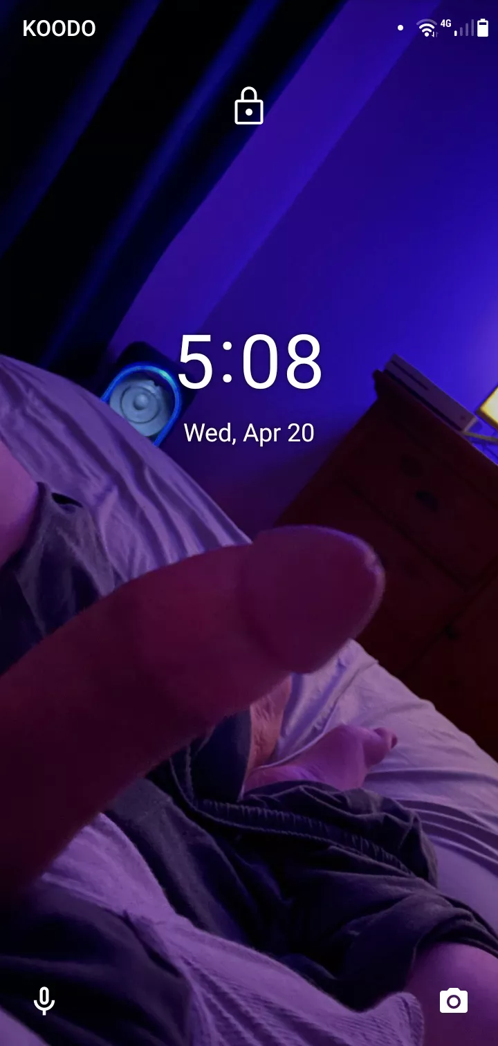 thank you Sir for today's wallpaper posted by maid2bused