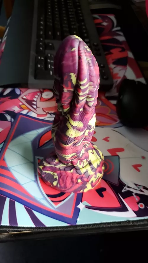 Thanks so much to u/ProstheticHorn for letting me bring home my new lovely! 🥰 by JTD0gz0ne