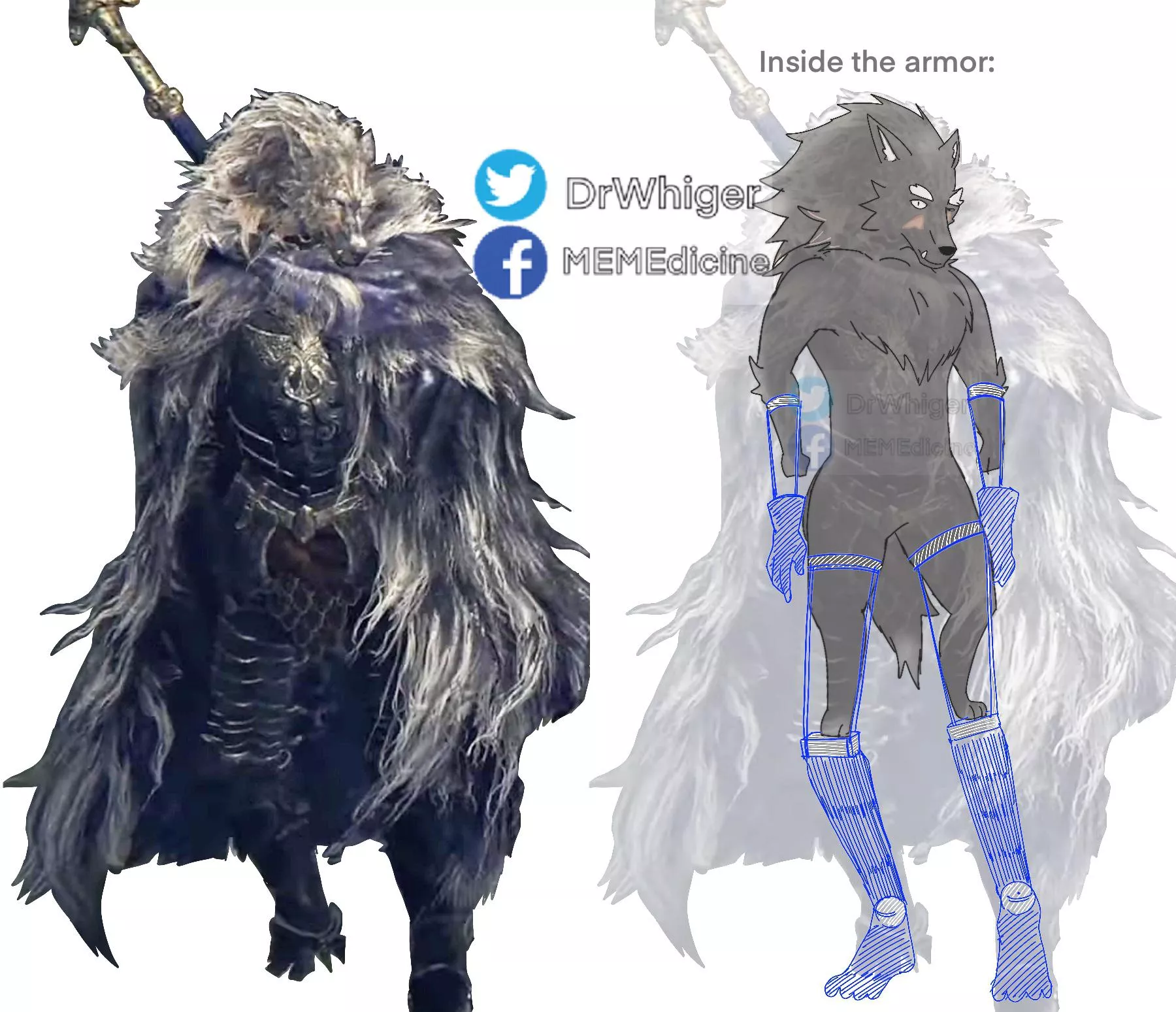 That Furry Knight isn’t real posted by MEMEdicne_DrWhiger