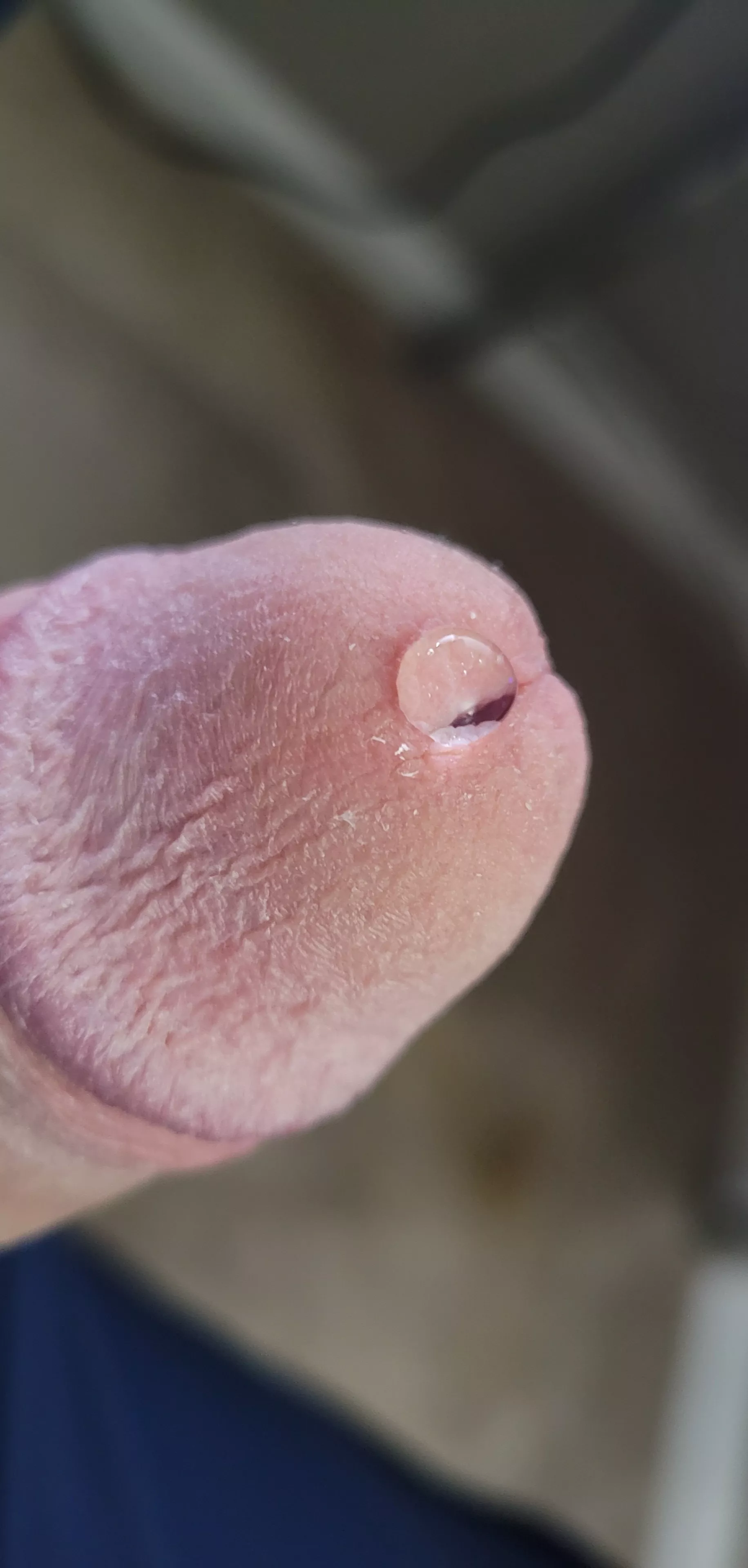 that very first glob of sticky sweet precum before it runs down my head. posted by barneycromwell7