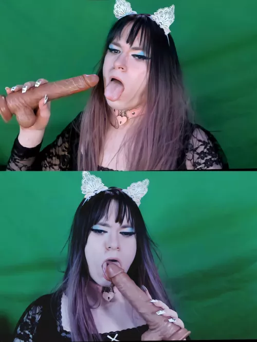 That's good Holly yes that's a good sissy kitten 😇 that goes in your mouth you dumb slave 😈 by The_OG_DaddyDave