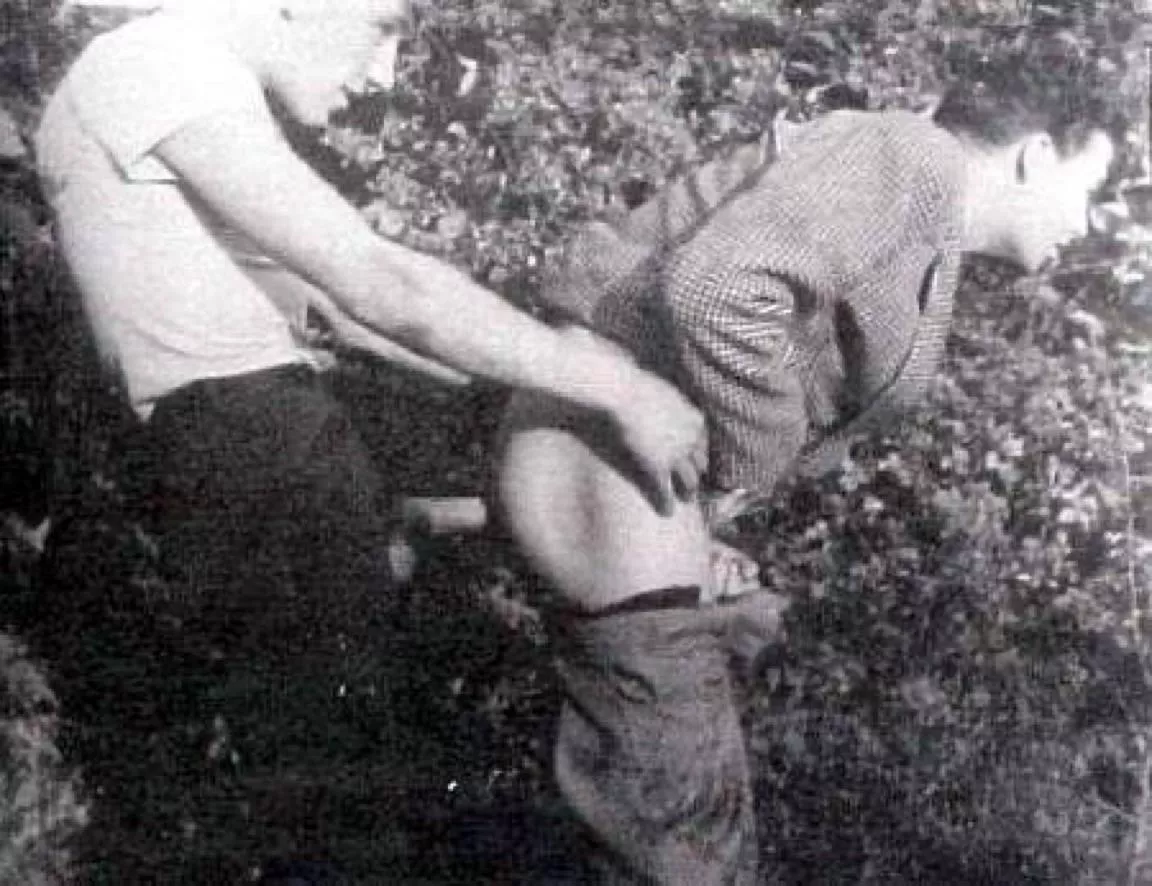 The basics don’t change much, #7 posted by SunsetBro78