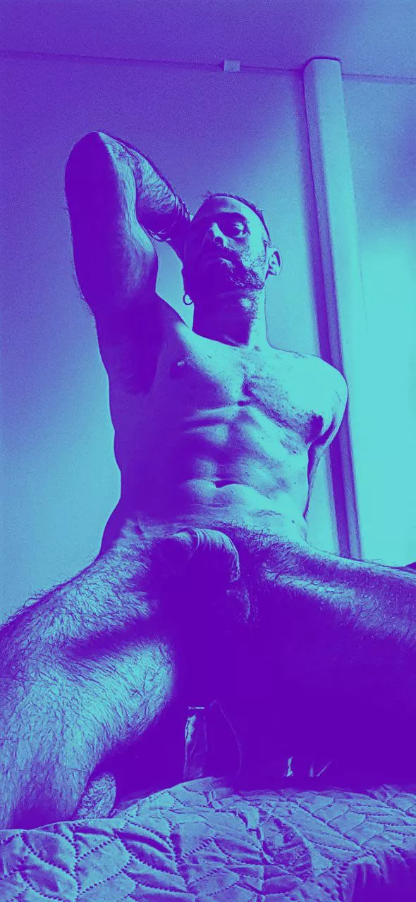 The beard the boner posted by Alamyrjock