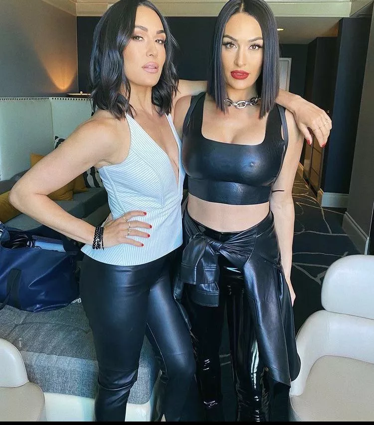The Bella twins posted by Dull_Ad_2951