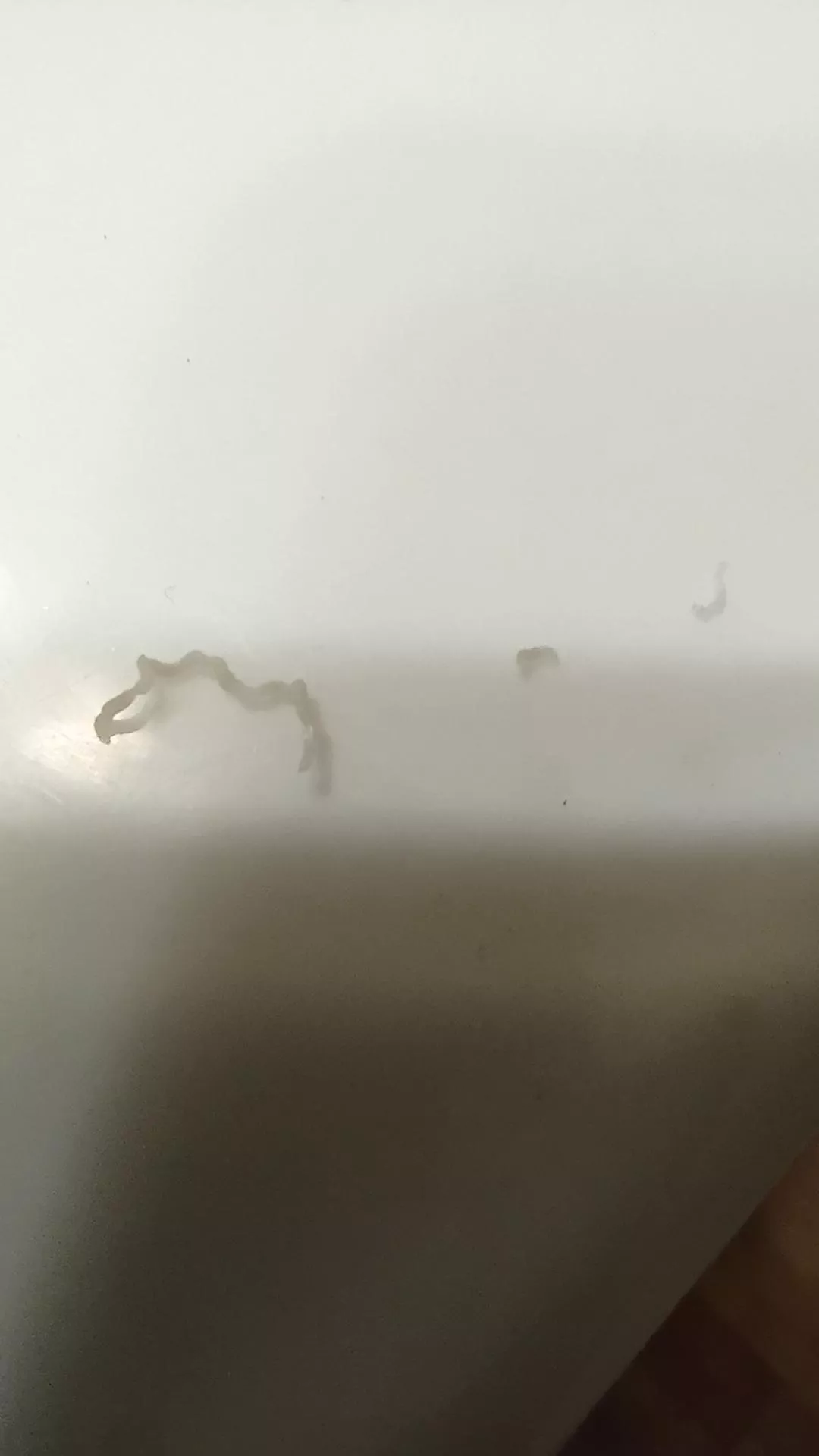 The black head that has been in my nose for about a year in the half (sorry for the bad camera quality) posted by No_body_important