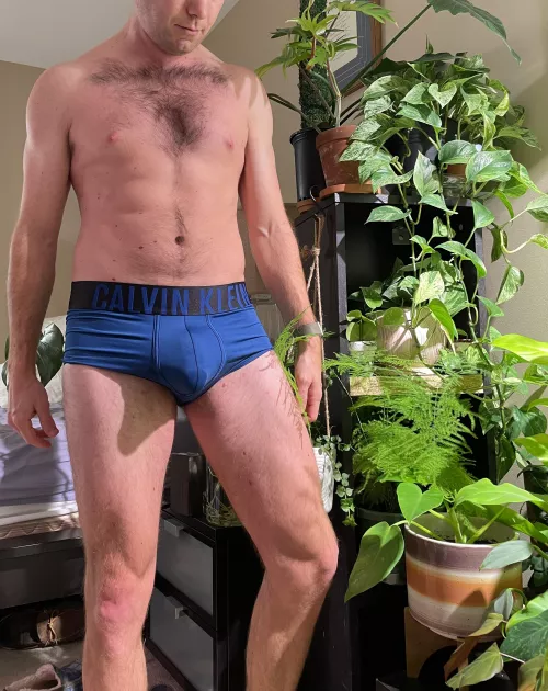 The blue stands out in all the green by permasub