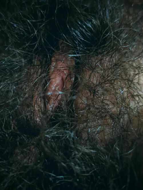 The Bush Density Increases by LanaReign