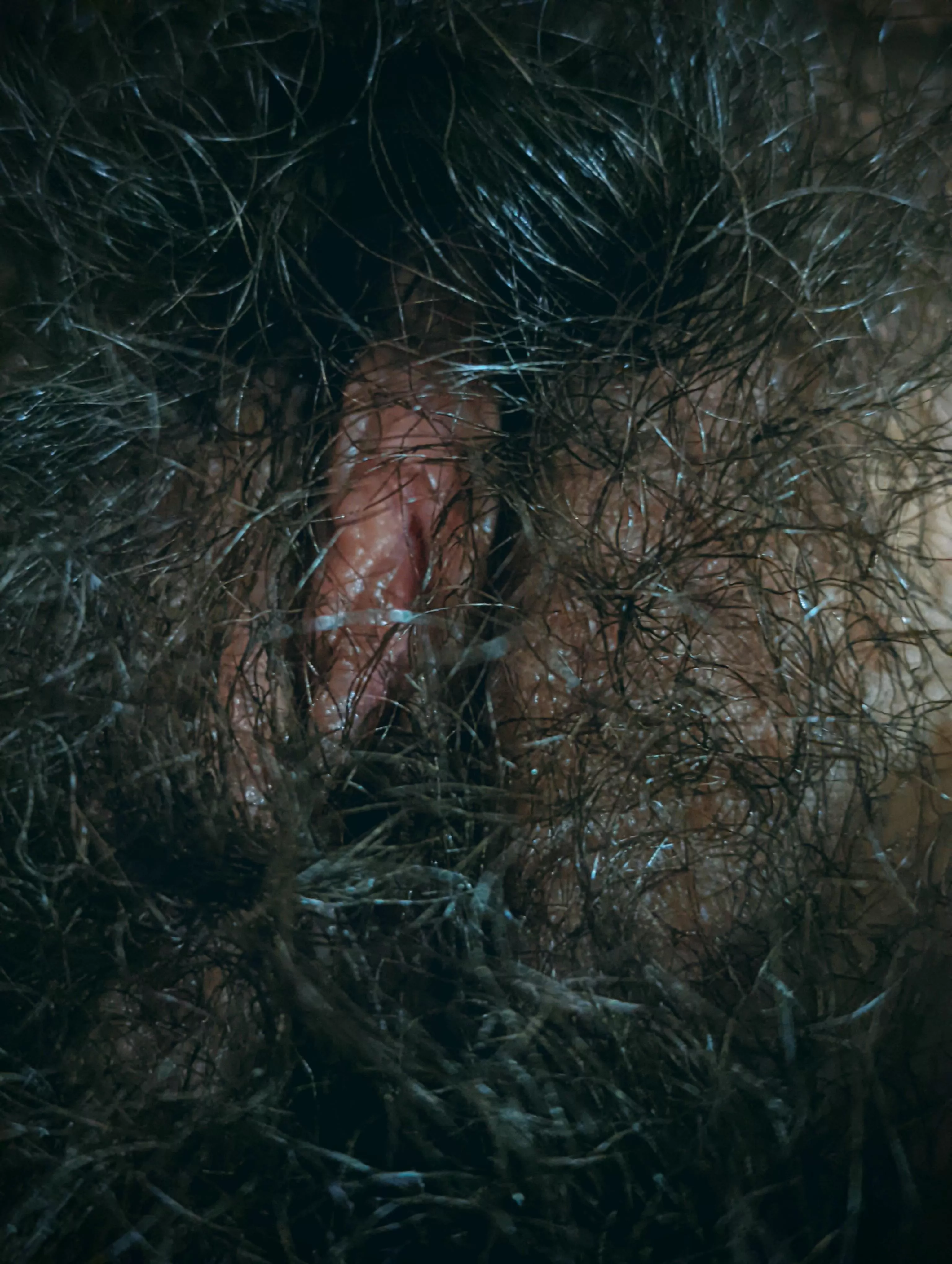 The Bush Density Increases posted by LanaReign