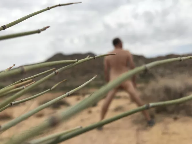 The Captivating Desert by Humanist-Skin