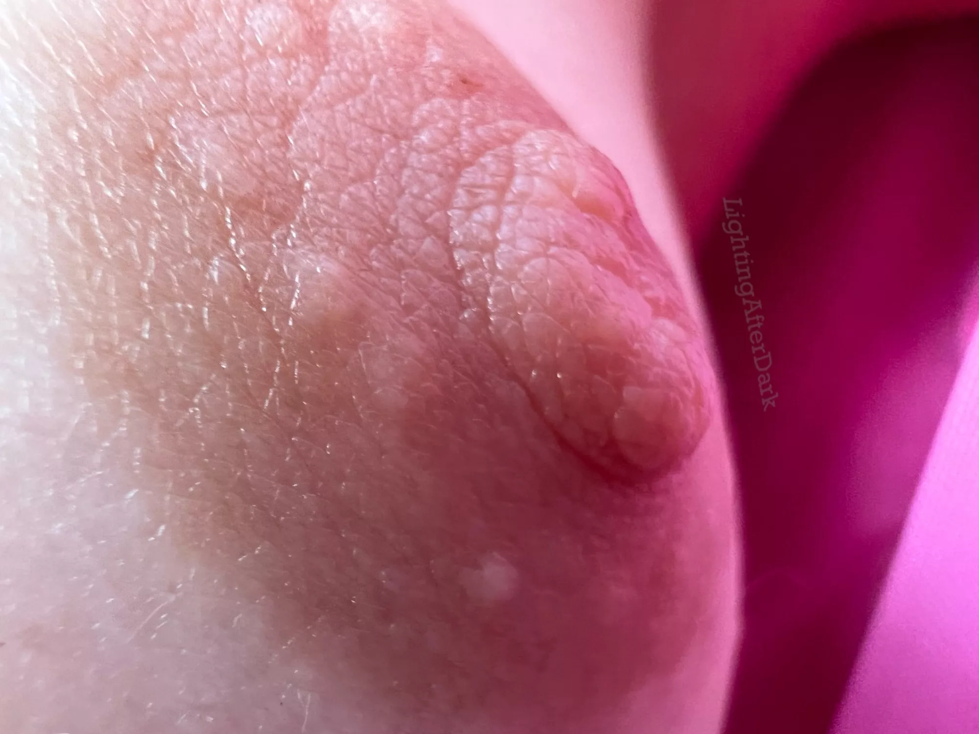 The closest up I’ve been able to get posted by lightingafterdark