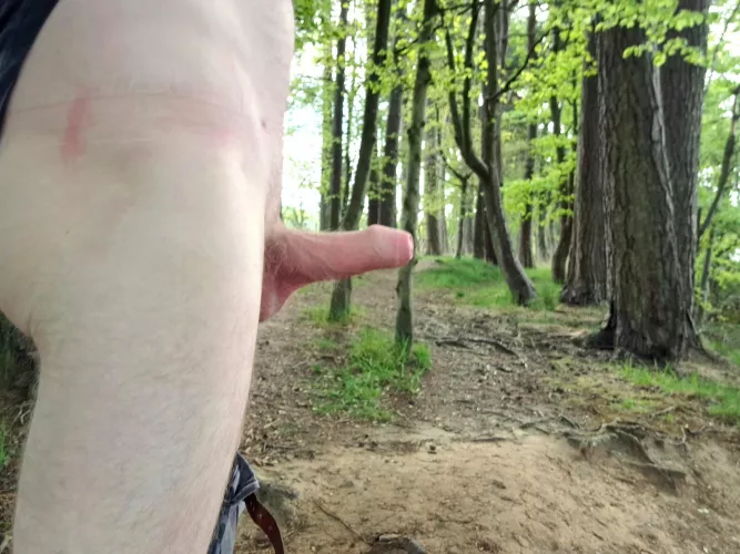 the early bird catches a glimpse of my worm. Good morning from Scotland by MrCAB79