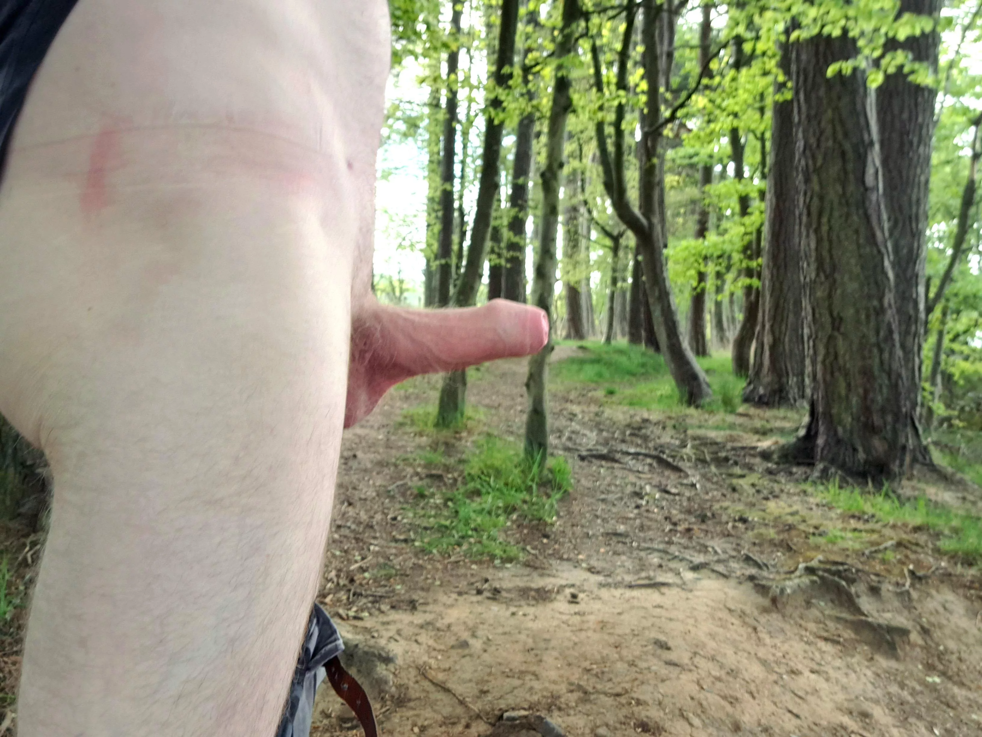 the early bird catches a glimpse of my worm. Good morning from Scotland posted by MrCAB79