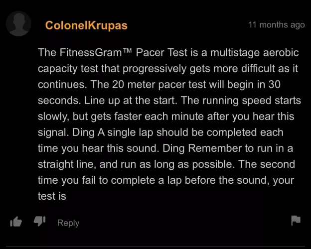 the fitness gram pacer test by chiggachigga2