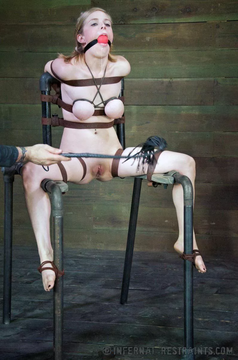 The flogging is just the beginning.. posted by 52matryan