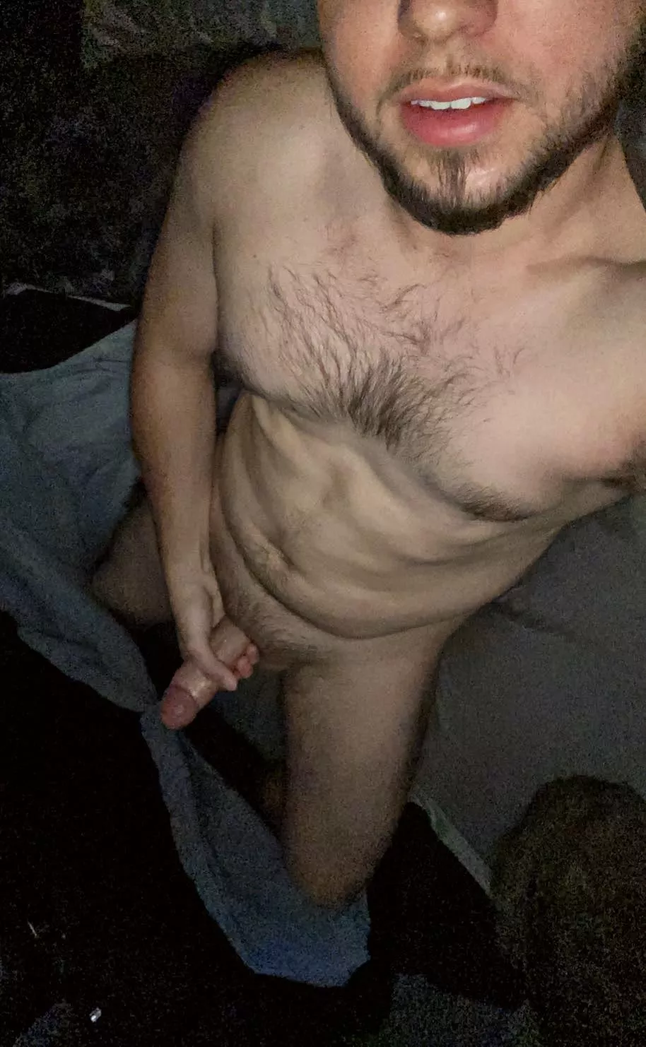 The freaks always come out at night posted by dickindistress