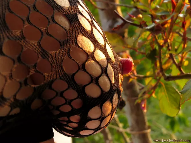 The FuckForForest-Hippies love nylon, too. [OC] by eirodite