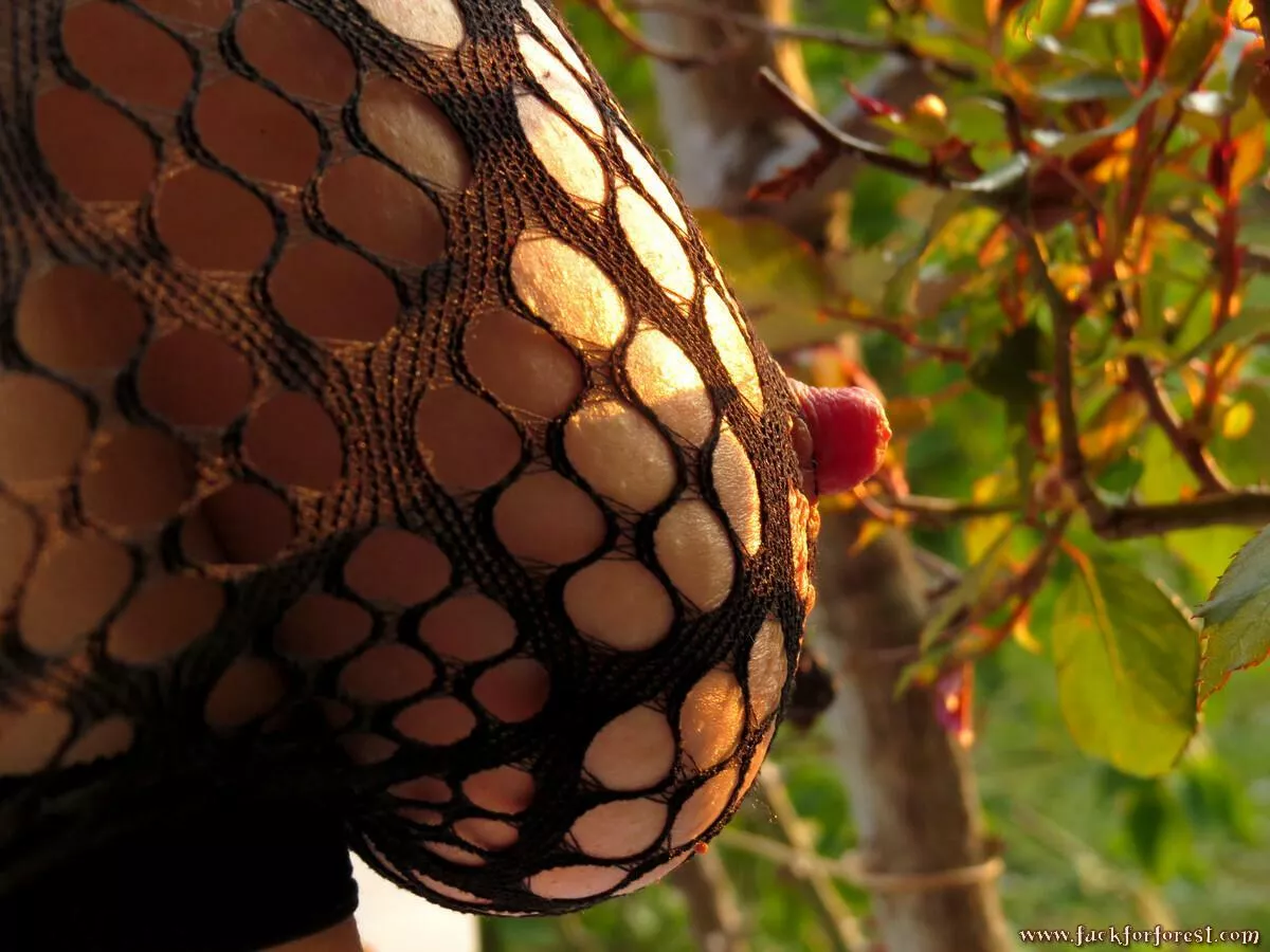 The FuckForForest-Hippies love nylon, too. [OC] posted by eirodite